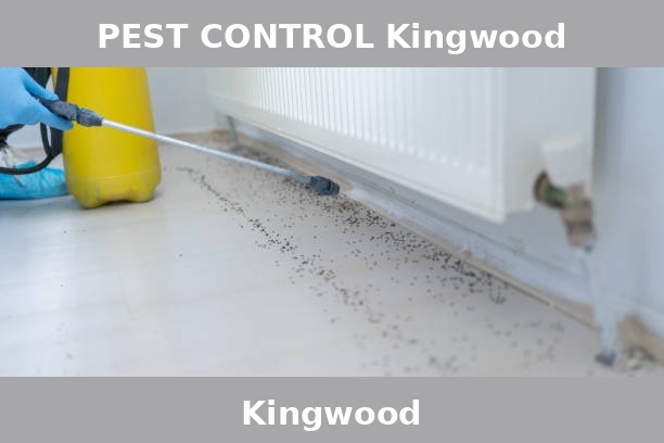PEST CONTROL Kingwood